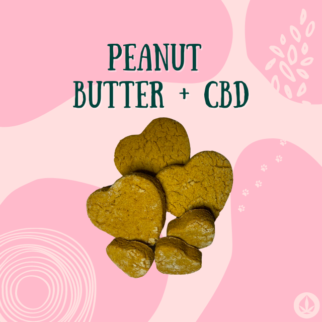 Beauty’s Peanut Butter Turmeric  + CBD